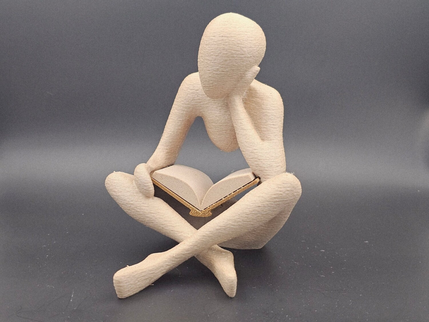 Le lecteur anonyme