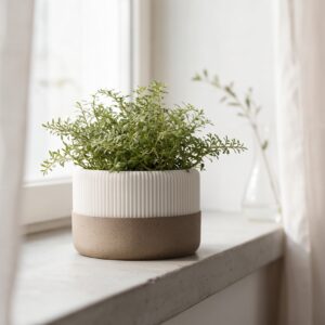 Jardinière moderne avec plateau récupérateur