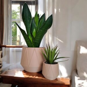 Jardinière géométrique « GeoBloom »