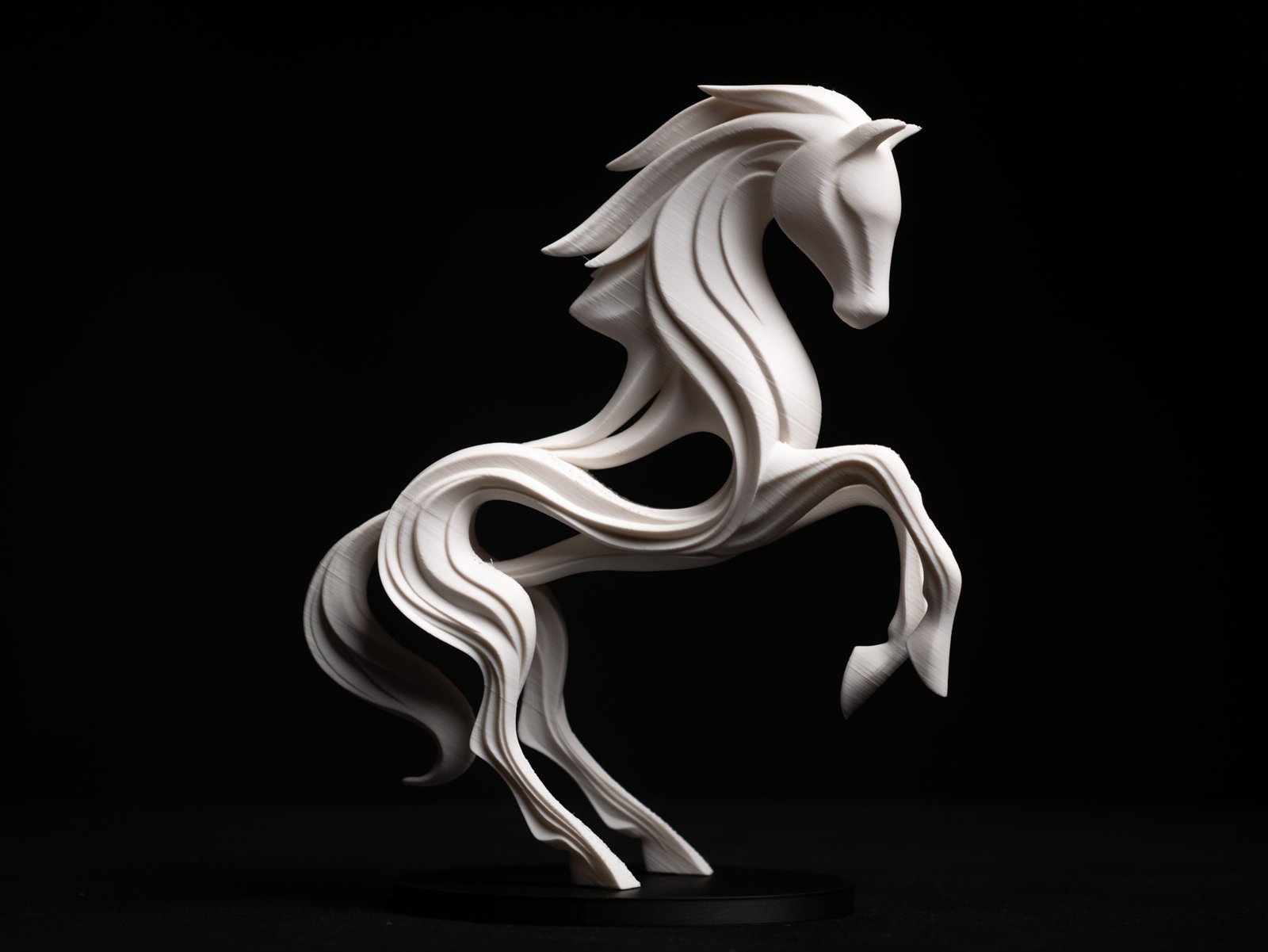 Cheval spirit 1