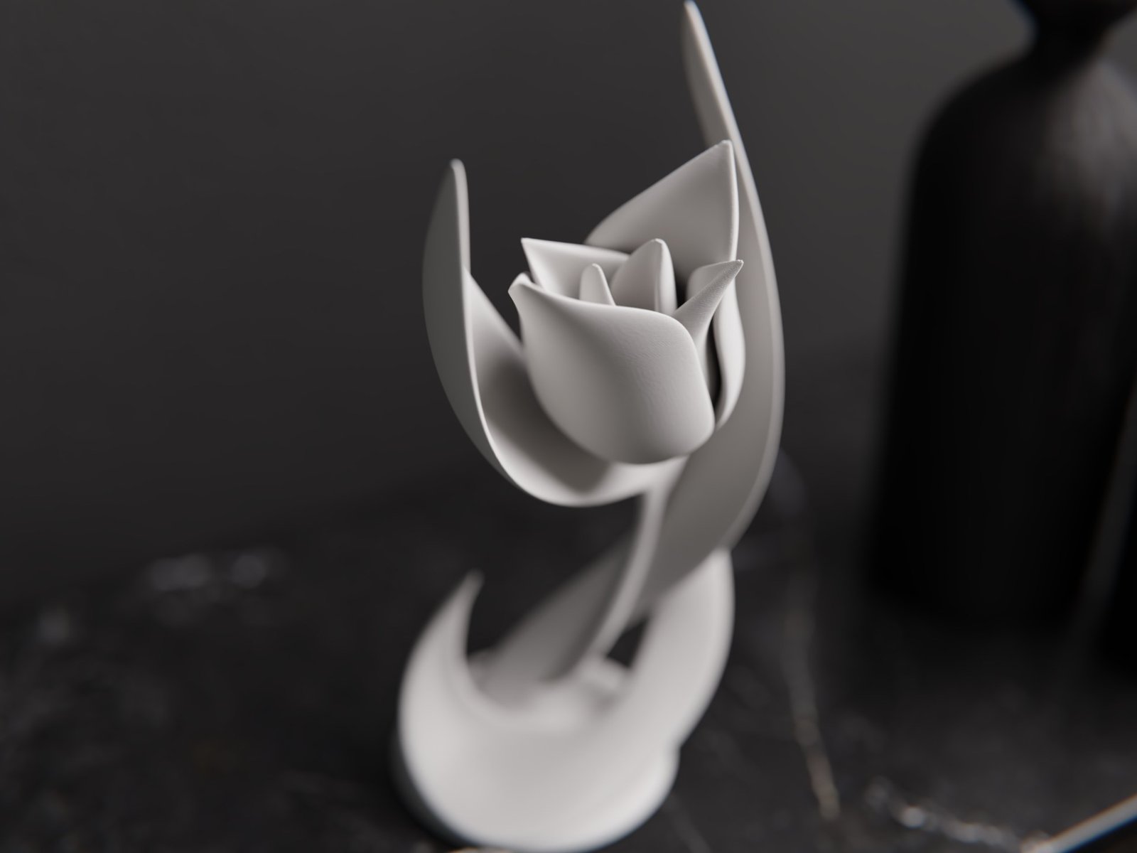Tulipe 2