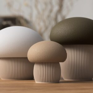 Champignon décoratif Japandi